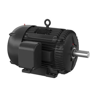 25HP,1180RPM,3PH,60HZ,324T,1260M,TE