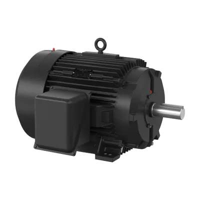 60HP,1780RPM,3PH,60HZ,364T,A3658M,T