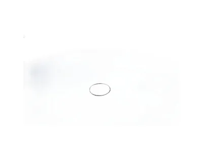 Kuka 106278 – O-ring 110x3