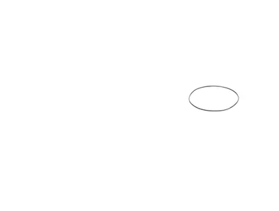 O-ring 95x2