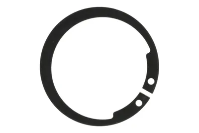 Kuka 153981 – Retaining ring