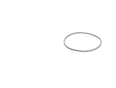 Kuka 170834 – O-ring 85x2.5