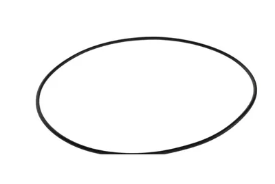 Kuka 181250 – O-ring 170x3
