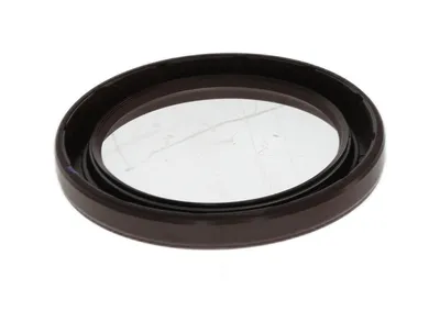 Radial shaft seal without dust lip