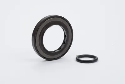Kuka 268675 – SPP input seal GZ_441_287 Kuka 268675 – SPP input seal GZ_441_287