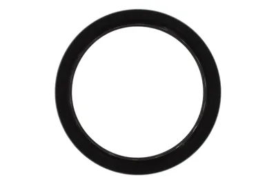Rotary shaft seal 123x150x15x22,5