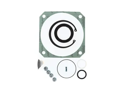 Kuka 334492 – SPP input seal GZ_470