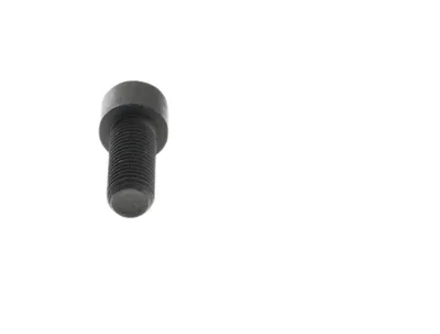 Kuka 55363306 – Allen screw M16x40
