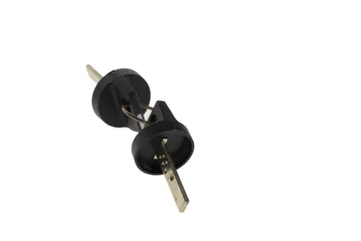 Kuka 69000986 – Keys for KCP (ring with 2 keys) Kuka 69000986 – Keys for KCP (ring with 2 keys)