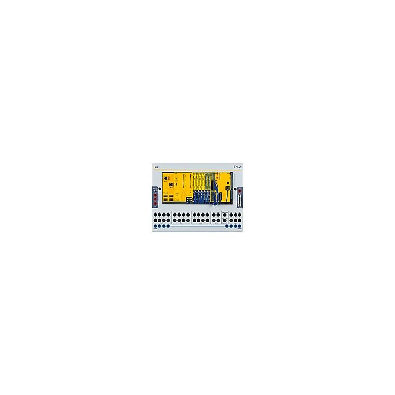 Pilz 4S000002