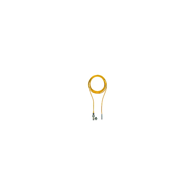 Pilz 506254