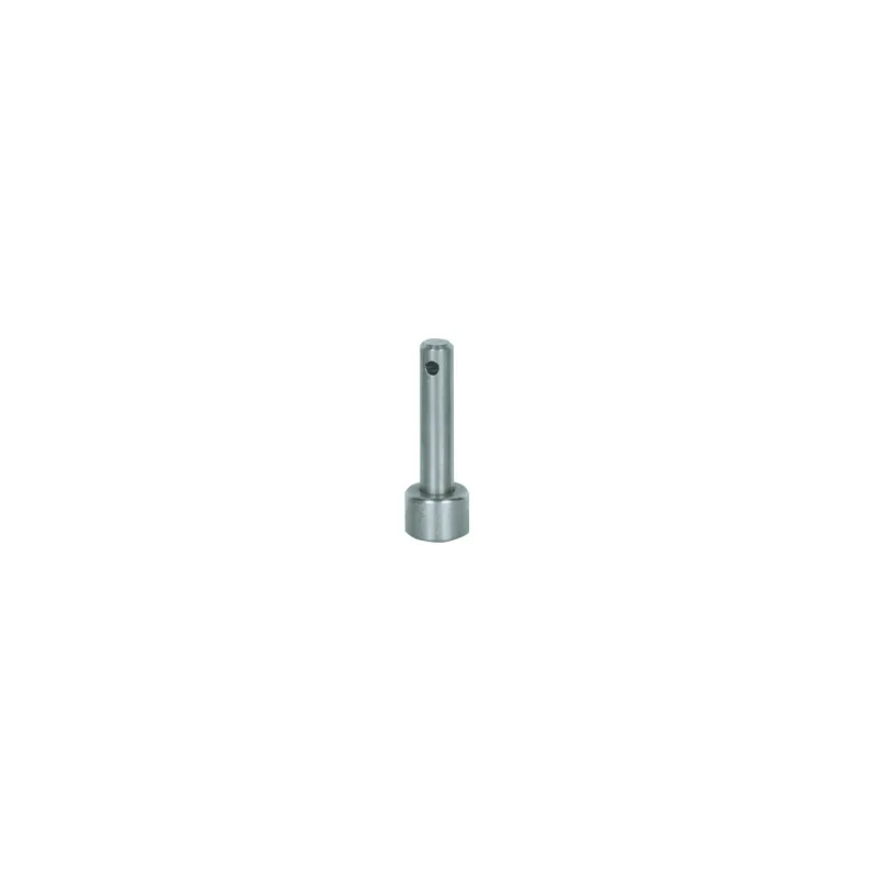 Pilz 570871