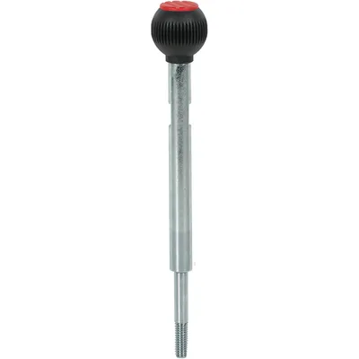 Pilz 6L000026
