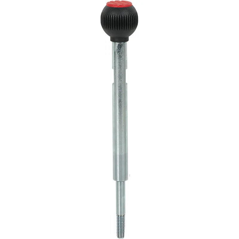 Pilz 6L000026