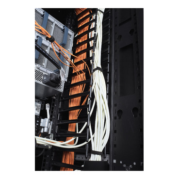 APC NetShelter Cable Manager, for 42U- 750W NetShelter SX, Vertical, 1778H x 97W x 160D mm — photo 5 of 9