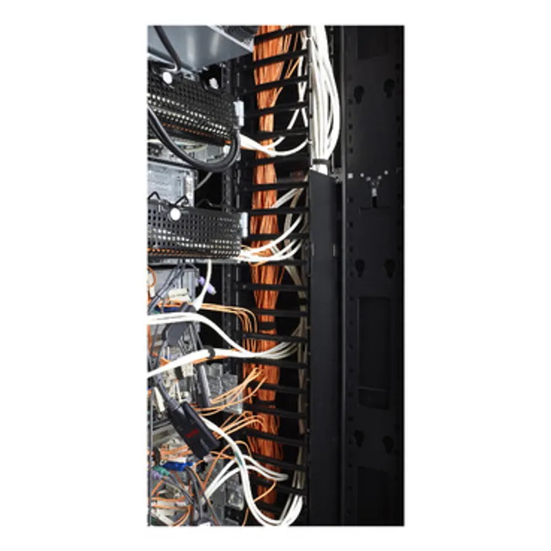 APC NetShelter Cable Manager, for 42U- 750W NetShelter SX, Vertical, 1778H x 97W x 160D mm — photo 7 of 9