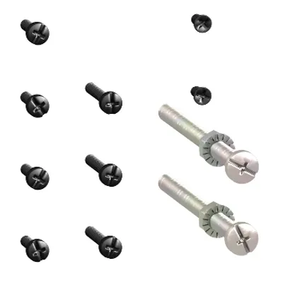 bag of screws, ComPact NSX100/160/250, EasyPact CVS CVS100/160/250