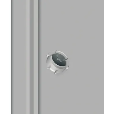 Captive screws for PanelSeT SFN and Spacial SF panels external fixing