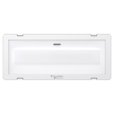 Emergency luminaire, Exiway Smartled, Power Control, 300lm, 230VAC, 216VDC, IP65, white — photo 2 of 2