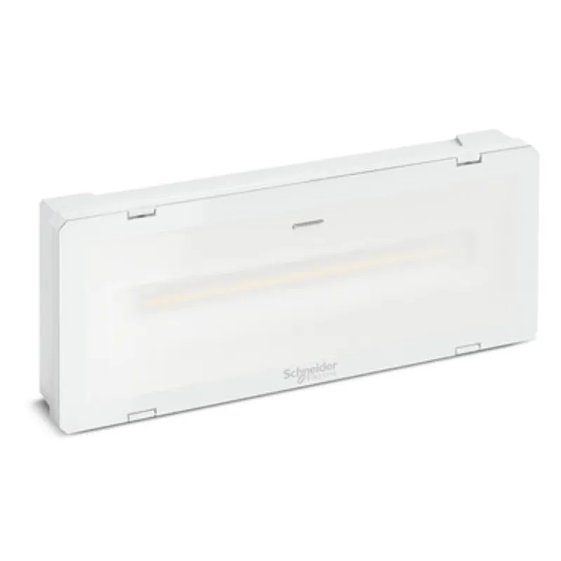 Emergency luminaire, Exiway Smartled, Power Control, 1000lm, 230VAC, 216VDC, IP65, white — photo 1 of 2