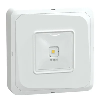 Emergency luminaire, Exiway Smartbeam Control, surface, 5lux, 190lm, IP65, white