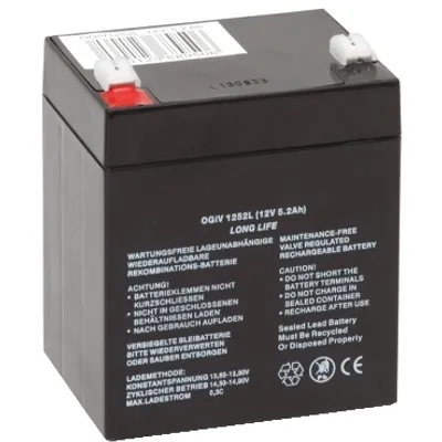 Exiway - battery - 12 V 17 Ah