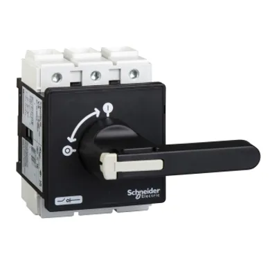 Switch disconnector,TeSys Control,for ON/OFF,125A,4 screws fixing,for mountingfor mounting on door