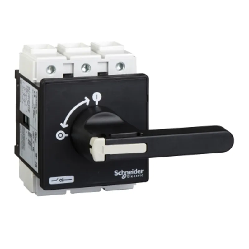 Switch disconnector,TeSys Control,for ON/OFF,175A,4 screws fixing,for mountingfor mounting on door