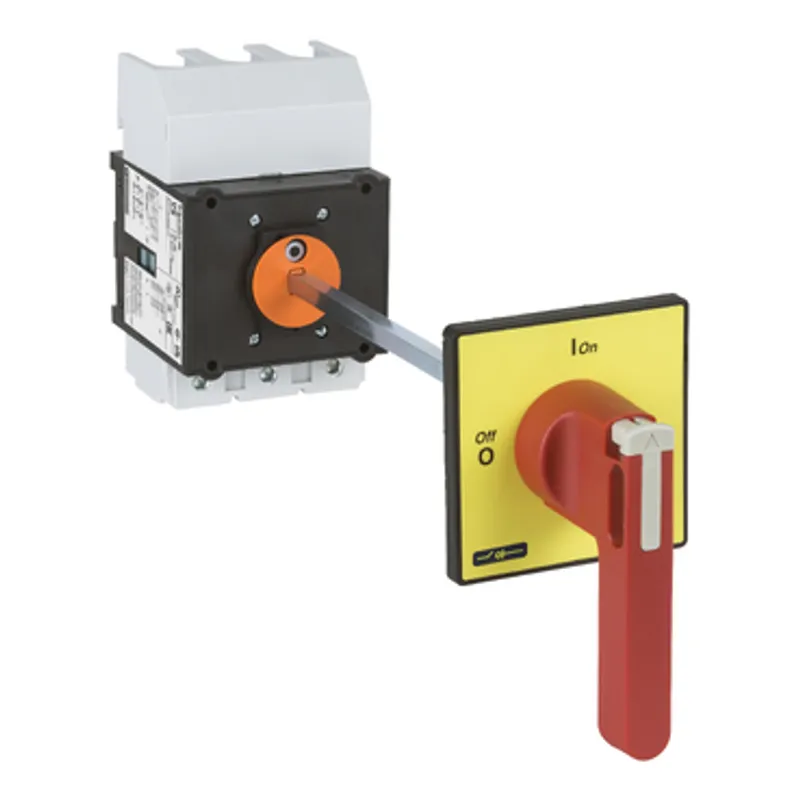 Switch disconnector,TeSys Control,for ON/emergency stop,175A,4 screws fixing,for mounting at back of an enclosure
