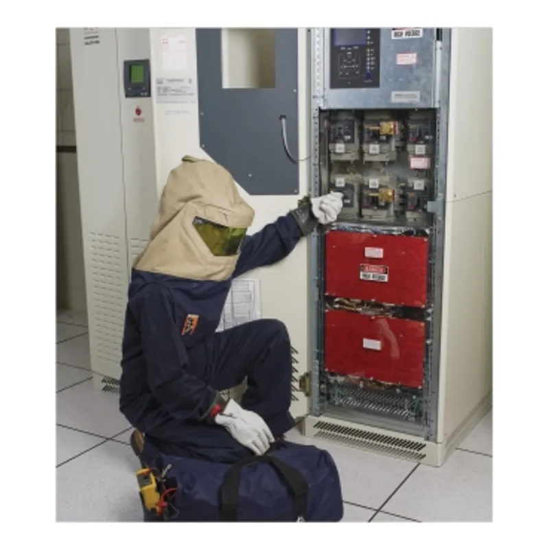 1 Year On-Site Warranty Extension for (1) Galaxy 300 20 kVA UPS — photo 3 of 3